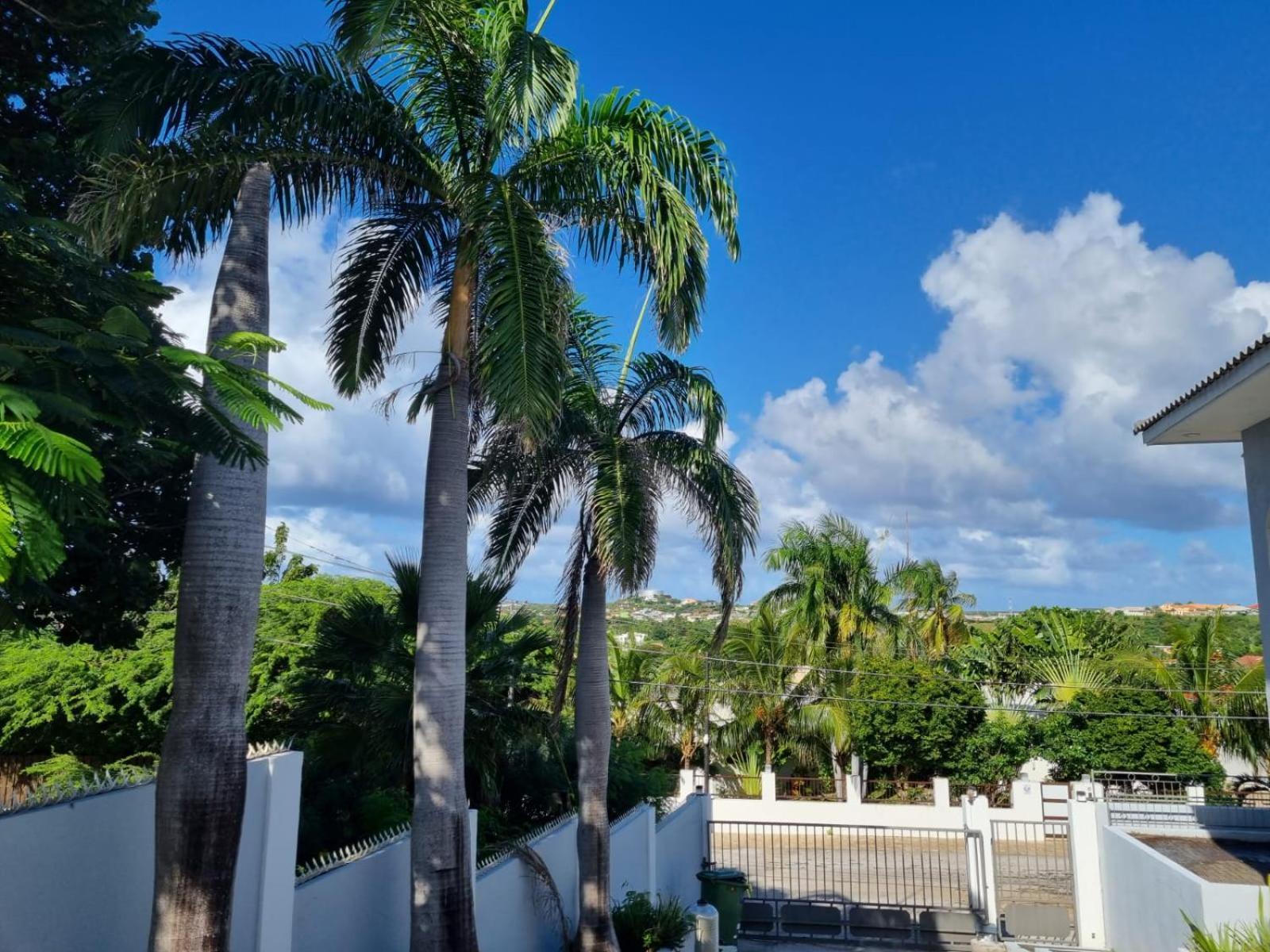 Studio Apartment Volterra Curacao Willemstad Exterior foto